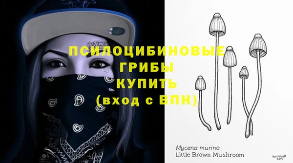 бошки Белокуриха
