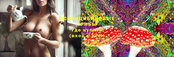 тгк Сосновоборск