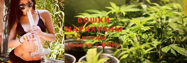 мдпв Сосновый Бор