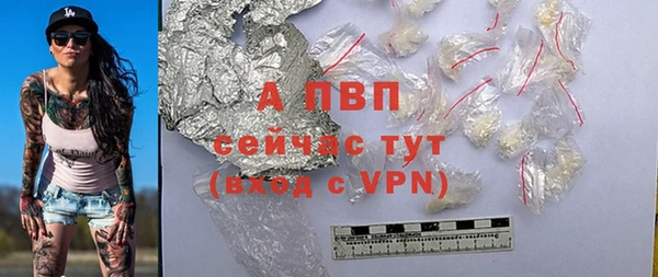 PSILOCYBIN Сосновка