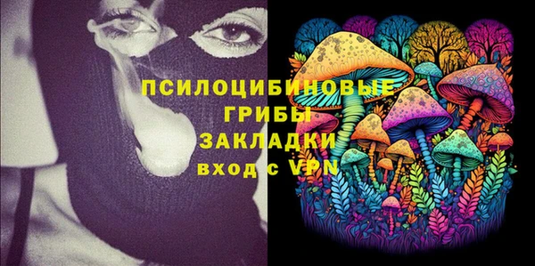 PSILOCYBIN Сосновка