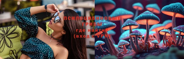 PSILOCYBIN Сосновка